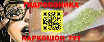 мдпв Татарск