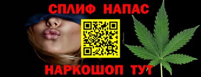 гашик Тара