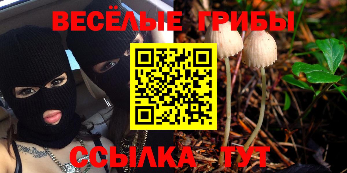 Галлюциногенные грибы Psilocybe Прокопьевск