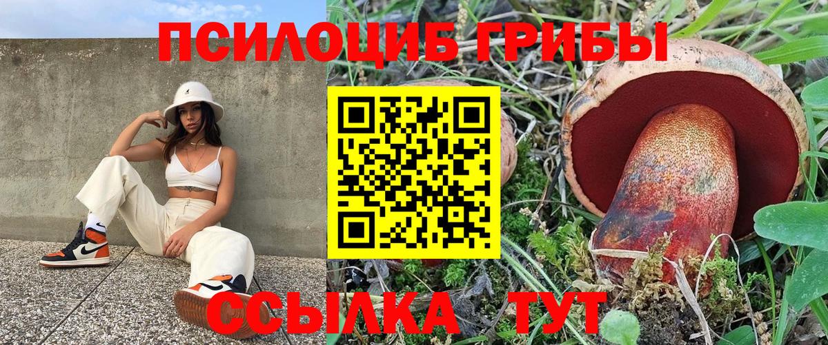 Прокопьевск  Галлюциногенные грибы прущие грибы  Галлюциногенные грибы прущие грибы  Вход с VPN 